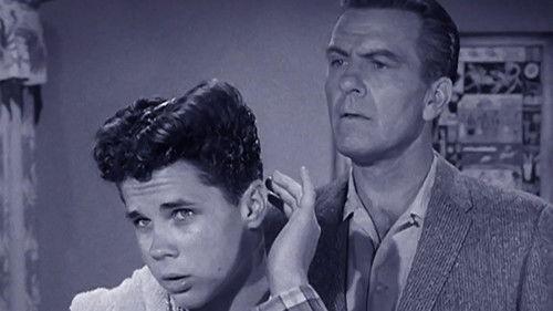 Leave It to Beaver Season 2 Episode 34 - Wally's Haircomb