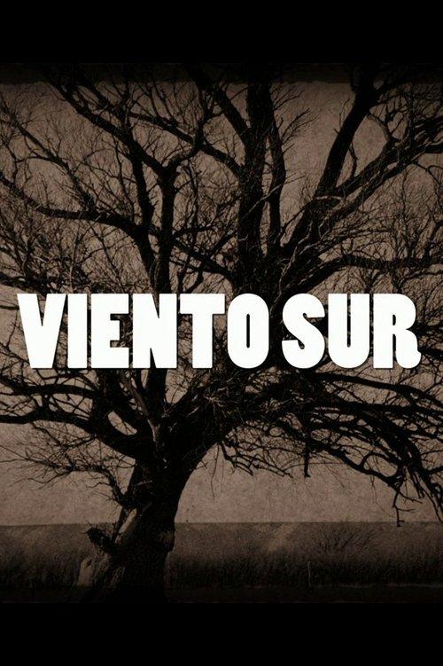 Viento Sur poster