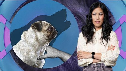 MaiThink X – Die Show Season 9 Episode 3 - Bred to ruin: From animal cruelty to famine