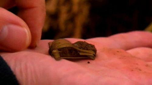 Time Team Season 14 Episode 11 - Road to the Relics - Godstone, Surrey