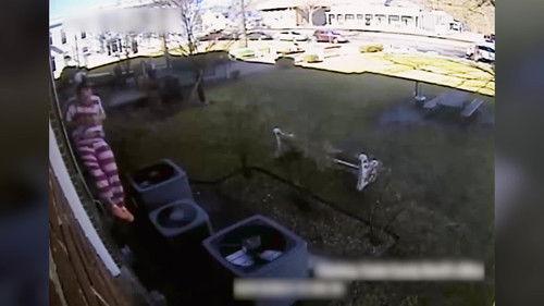 Court Cam Season 6 Episode 20 - #620