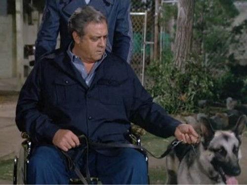 Ironside Season 6 Episode 3 - Programmed for Panic