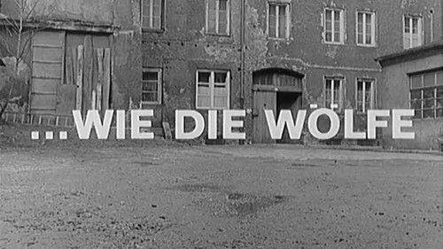 Der Kommissar Season 2 Episode 7 - Episode 7