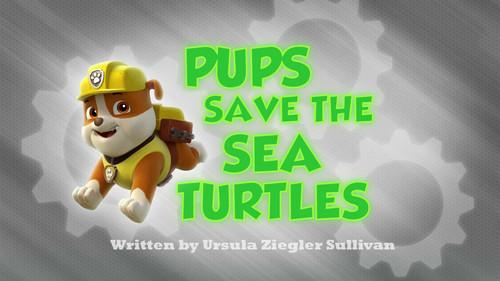 PAW Patrol Season 1 Episode 5 - Pups Save the Sea Turtles