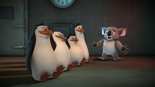 The Penguins of Madagascar Season 3 Episode 14 - Nighty Night Ninja