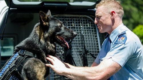 Dog Squad Puppy School Season 2 Episode 1 - Episode 1