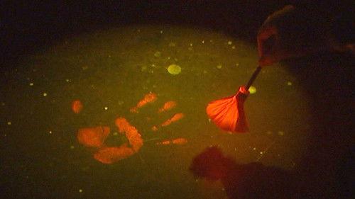 Forensic Firsts Season 1 Episode 2 - Fingerprints