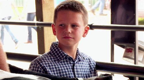 The Incredible Dr. Pol Season 20 Episode 8 - The Fair Necessities