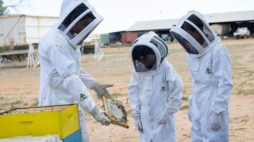 Invisible Boys Season 1 Episode 9 - Bees