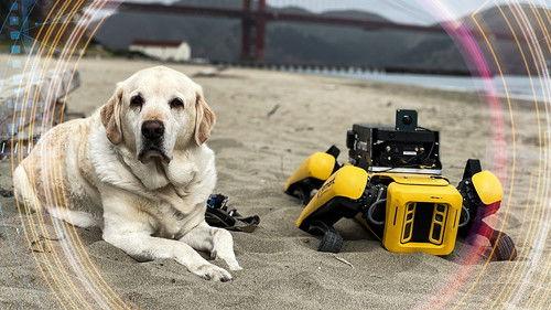 Click Season 22 Episode 15 - Spot The Dog?