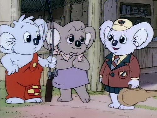 The Adventures of Blinky Bill Season 1 Episode 24 - Who is Blinky Bill
