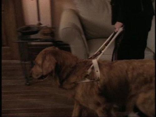 Forever Knight Season 3 Episode 5 - Blind Faith