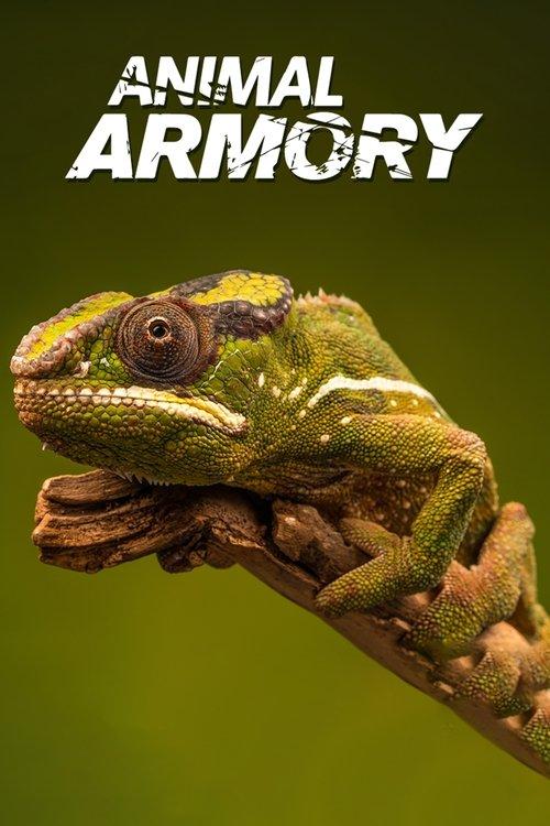 Animal's Armory poster