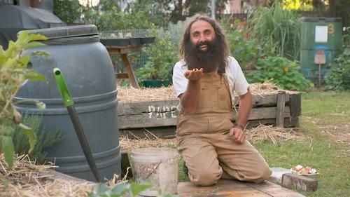 Gardening Australia Season 34 Episode 7 - Episode 7 Hoverfly, Indoor Plant, Trellising & Larapinta