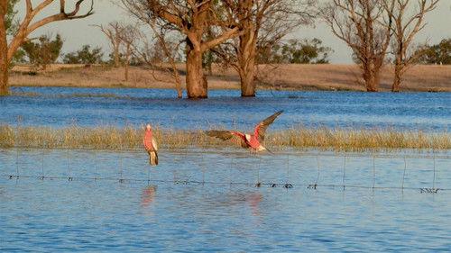 Australia Remastered Season 6 Episode 4 - Flood