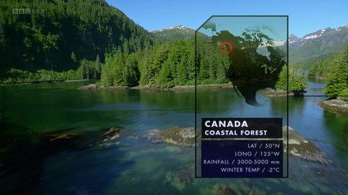 Nature's Microworlds Season 1 Episode 7 - Canada's Coastal Forests