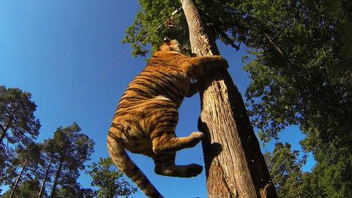 Dyrepasserne Season 5 Episode 14 - Episode 14