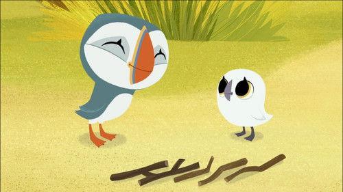 Puffin Rock Season 1 Episode 1 - Puffin Practice