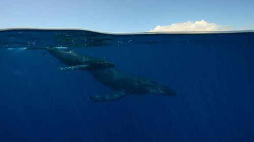 Earthsounds Season 1 Episode 4 - The Pacific