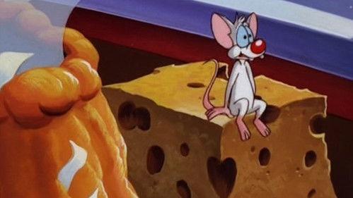 Pinky, Elmyra & The Brain Season 1 Episode 4 - Better Living... Through Cheese