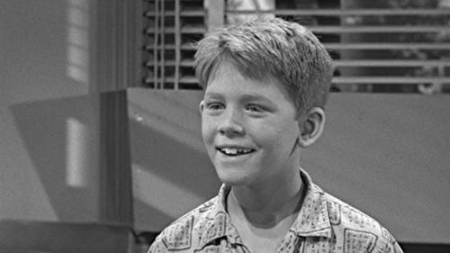 The Andy Griffith Show Season 5 Episode 9 - Opie's Fortune