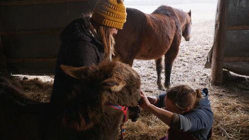 The Incredible Dr. Pol Season 24 Episode 4 - A Ruff Patch