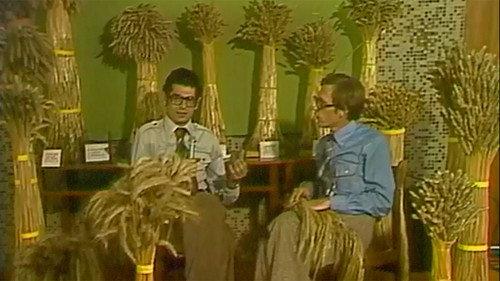 Sonda Season 1 Episode 82 - Episode 82