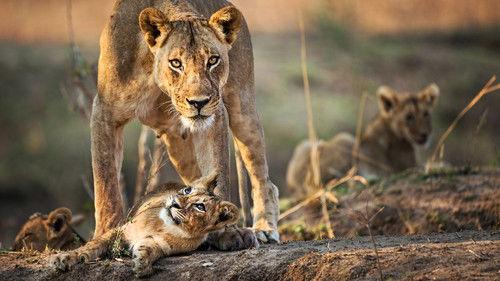 The Hunt Season 1 Episode 5 - Nowhere to Hide (Plains)