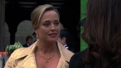 Law & Order Season 17 Episode 22 - The Family Hour