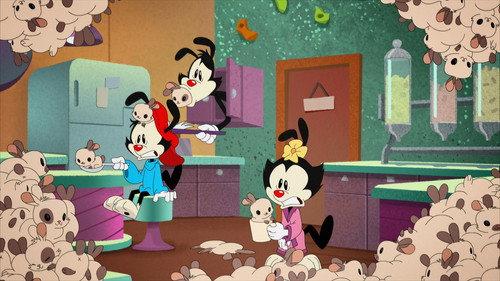 Animaniacs Season 1 Episode 11 - Bun Control