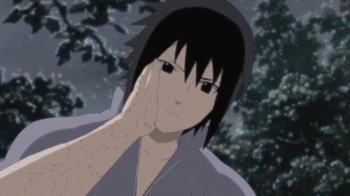 undefined Season 20 Episode 431 - To See That Smile, Just One More Time