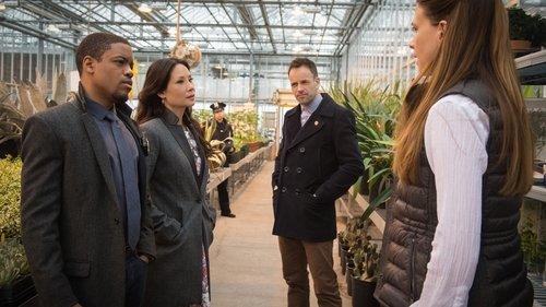 Elementary Season 3 Episode 23 - Absconded