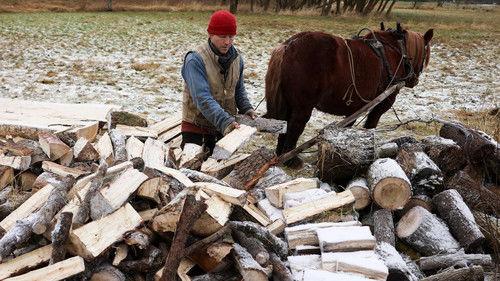 Frank & Kastaniegaarden Season 31 Episode 3 - Episode 3