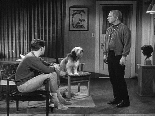 My Favorite Martian Season 1 Episode 9 - Rocket to Mars