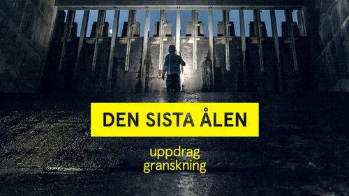 Uppdrag granskning Season 21 Episode 21 - Episode 21