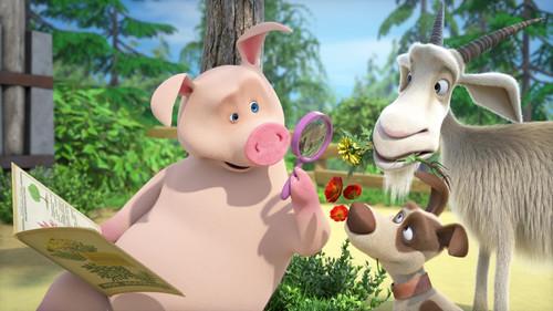Masha and the Bear Season 6 Episode 17 - Collection Passion