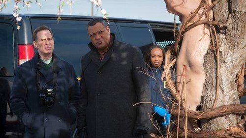 undefined Season 2 Episode 6 - Futamono