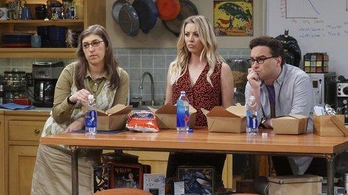 The Big Bang Theory Season 10 Episode 9 - The Geology Elevation