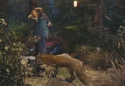 Full House Season 4 Episode 12 - Danny in Charge