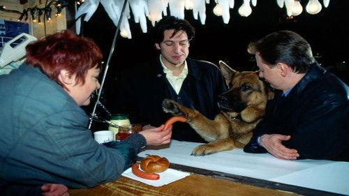 Inspector Rex Season 3 Episode 2 - City In Fear