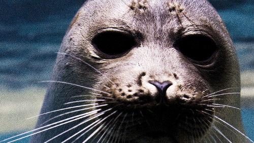 Wild Russia Season 2 Episode 2 - East of Eden