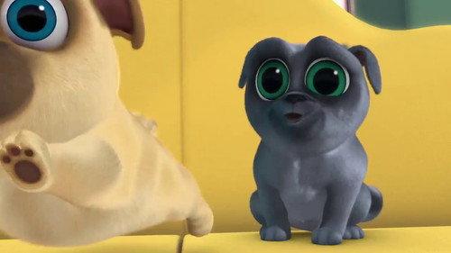 Puppy Dog Pals Season 1 Episode 8 - Special Delivery