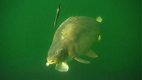 The Grand Fishing Adventure Season 3 Episode 4 - Iktus, France (Part 2)