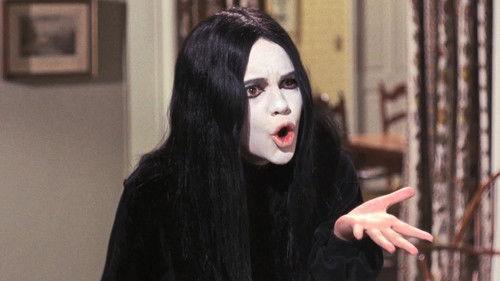 Gidget Season 1 Episode 19 - Gidget's Career