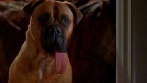 Saving Grace Season 3 Episode 16 - Loose Men In Tight Jeans