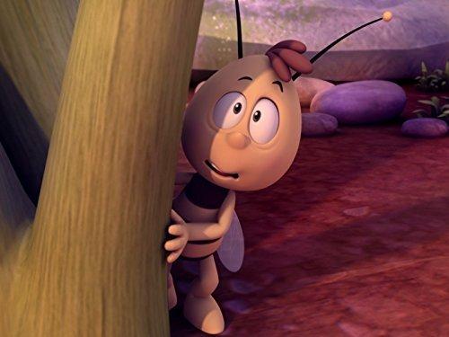 Maya the Bee Season 1 Episode 6 - Keep Ball Rolling