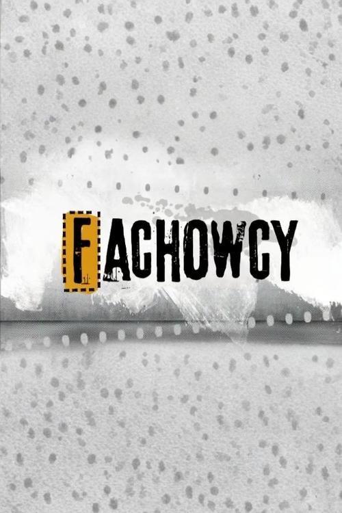 Fachowcy poster