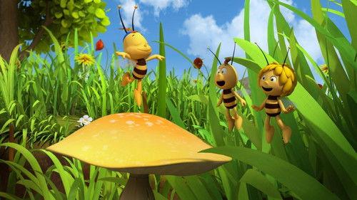Maya the Bee Season 3 Episode 22 - The Runaway Bee