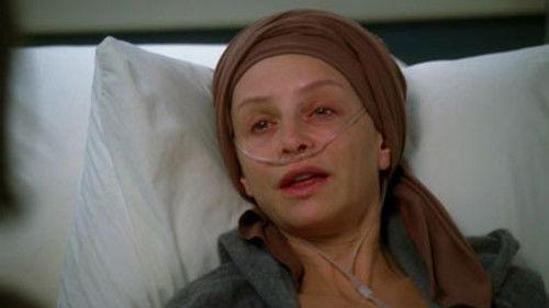 Brothers and Sisters Season 4 Episode 11 - A Bone to Pick