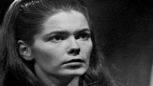 undefined Season 1 Episode 37 - DS-37